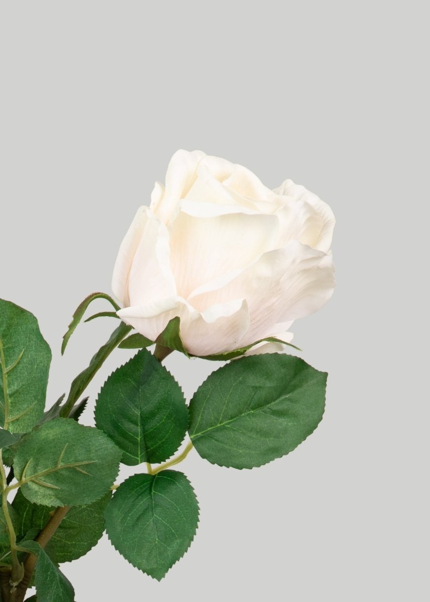 Afloral Real Touch Faux Flower Bundle of Cream Roses - 25.5" - lily & onyx