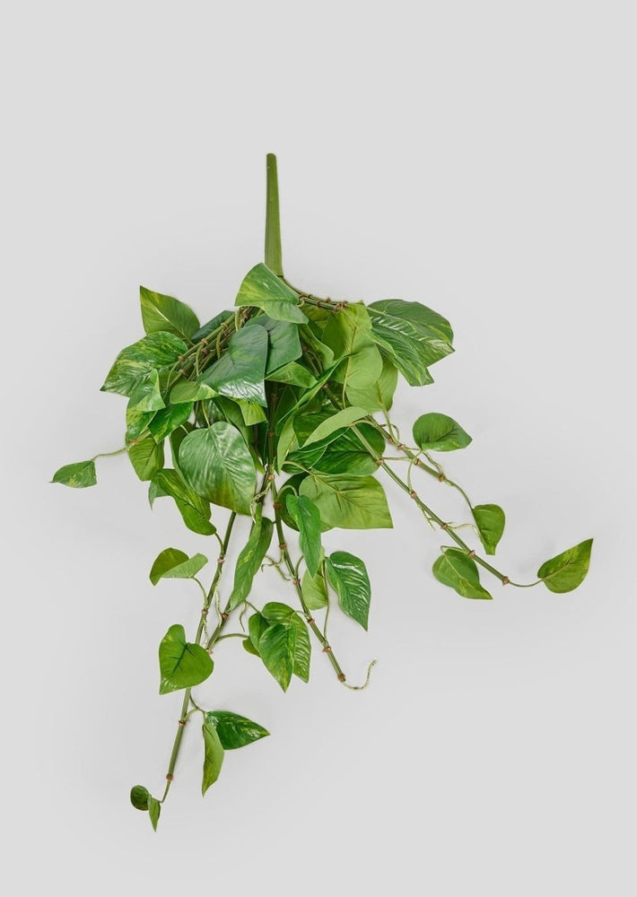 Afloral Real Touch Hanging Pothos Fake Plant - 22" - lily & onyx