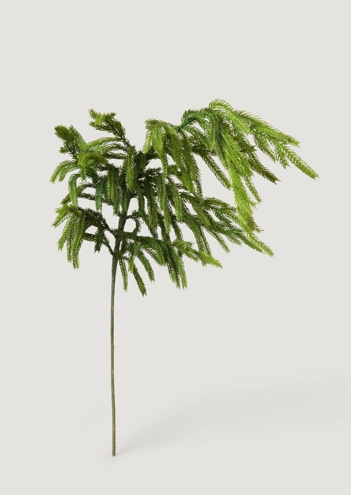 
                      
                        Afloral Real Touch Norfolk Pine Branch, 36" - lily & onyx
                      
                    