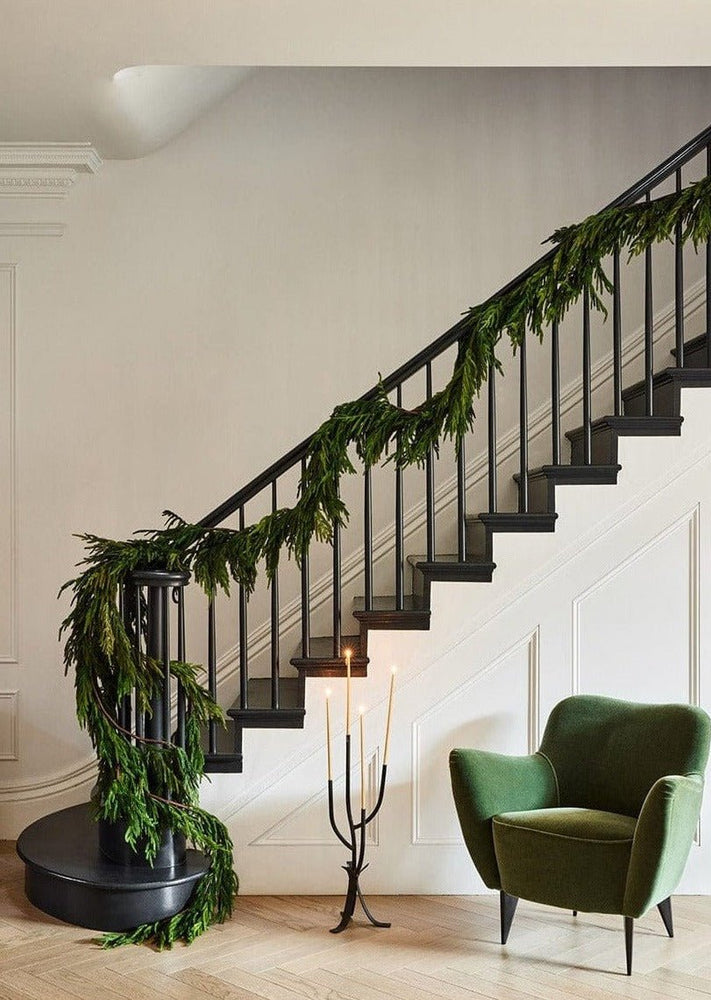 
                      
                        Afloral Real Touch Norfolk Pine Staircase/Entry Garland - 180" Long - lily & onyx
                      
                    