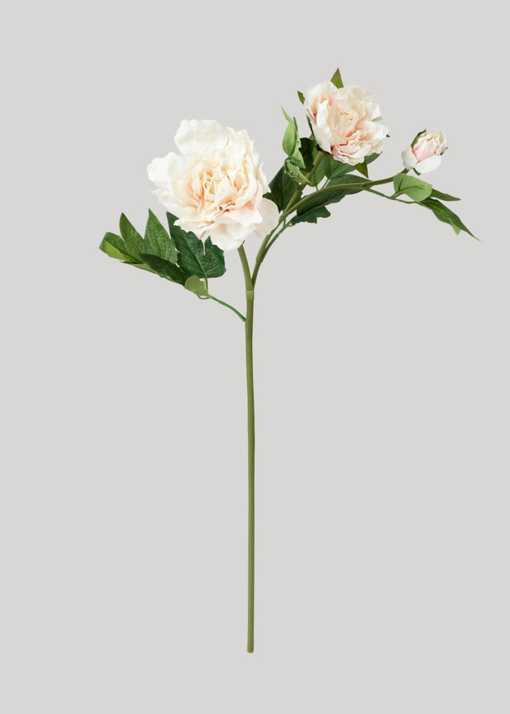 
                      
                        Afloral Real Touch Peony Flowers in Soft Pink - 26" - lily & onyx
                      
                    