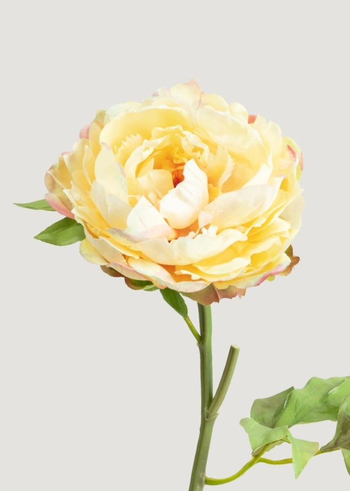 
                      
                        Afloral Real Touch Peony in Yellow Watercolor Palette - 20" - lily & onyx
                      
                    
