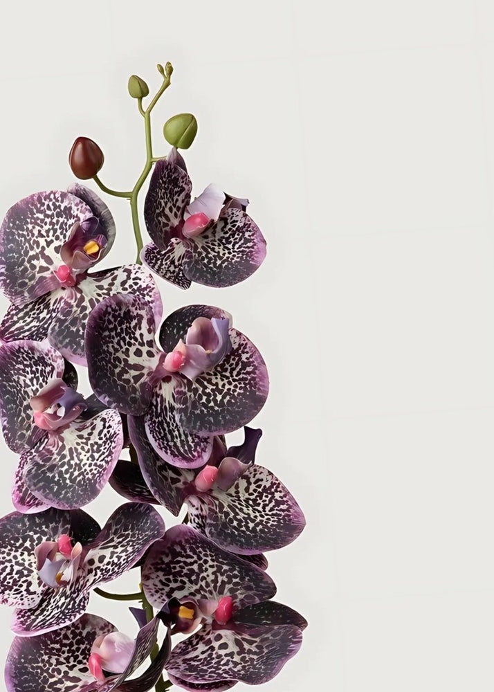 
                      
                        Afloral Real Touch Phalaenopsis Orchid in Plum - 35" - lily & onyx
                      
                    
