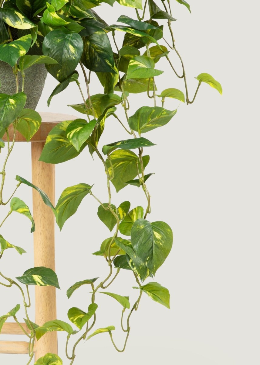 hanging real plants Deluxe Real Touch Pothos Fake Hanging Plant