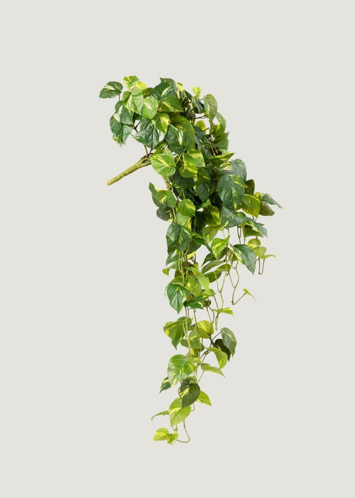 
                      
                        Afloral Real Touch Pothos Fake Hanging Plant - 36" - lily & onyx
                      
                    