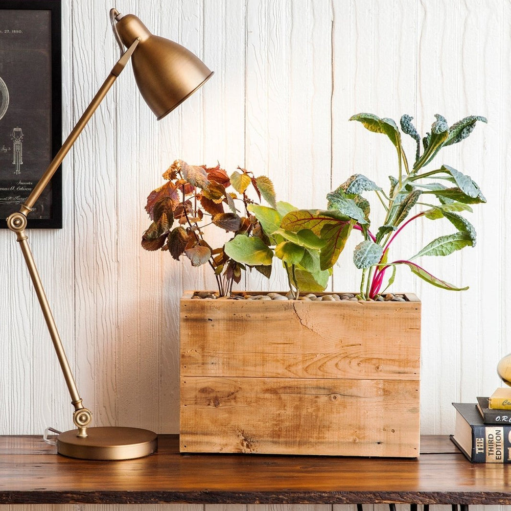 Modern Sprout Reclaimed Wood Planter - lily & onyx