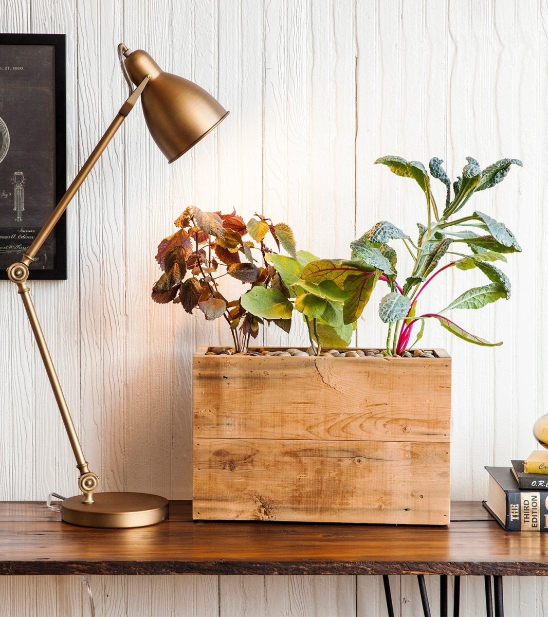 Modern Sprout Reclaimed Wood Planter - lily & onyx