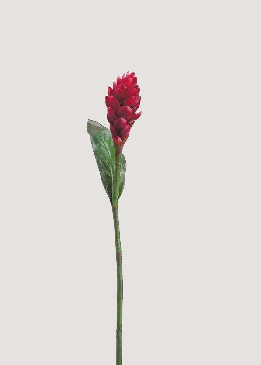 Afloral Red Artificial Torch Ginger Tropical Flower - 37" - lily & onyx