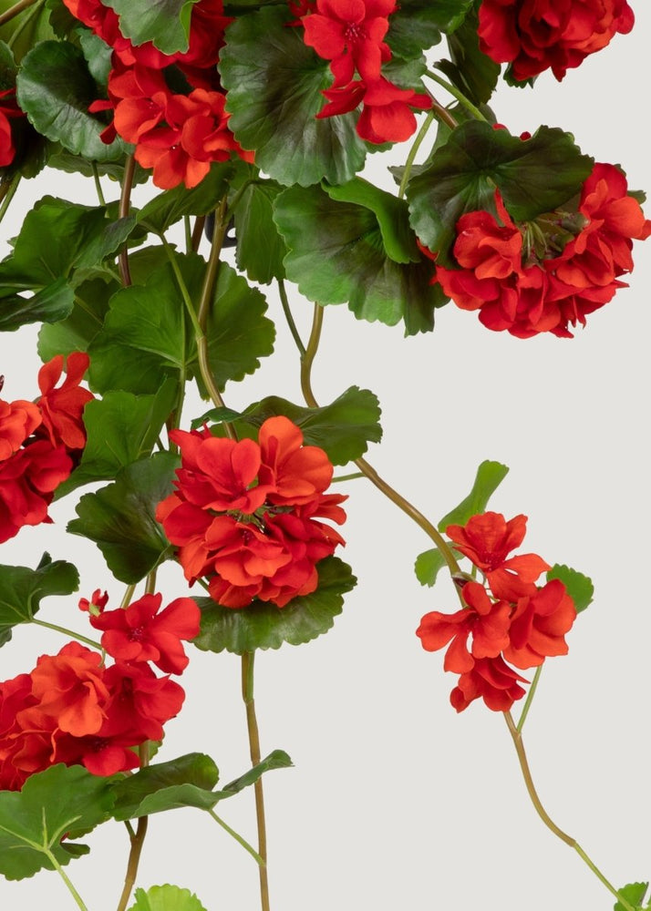 
                      
                        Afloral Red UV Treated Indoor/Outdoor Real Touch Geranium Hanging Bush - 36" - lily & onyx
                      
                    