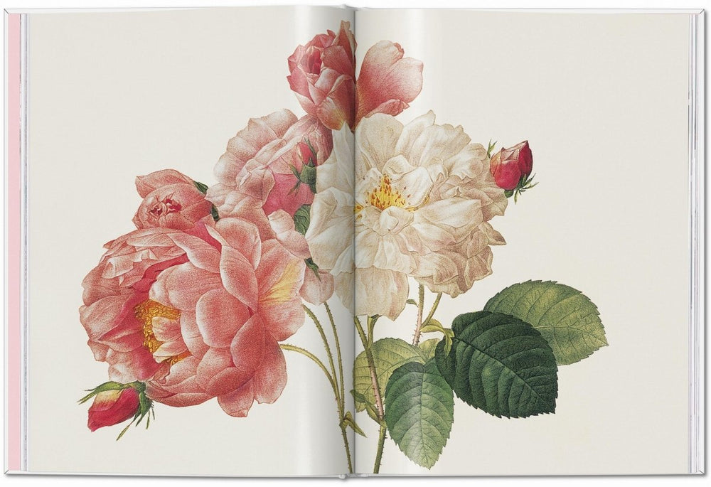 
                      
                        TASCHEN Redouté. Roses (German, French, English) - lily & onyx
                      
                    