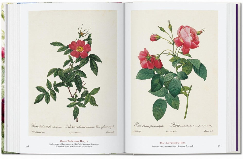 
                      
                        TASCHEN Redouté. The Book of Flowers. 40th Ed. (German, French, English)
                      
                    