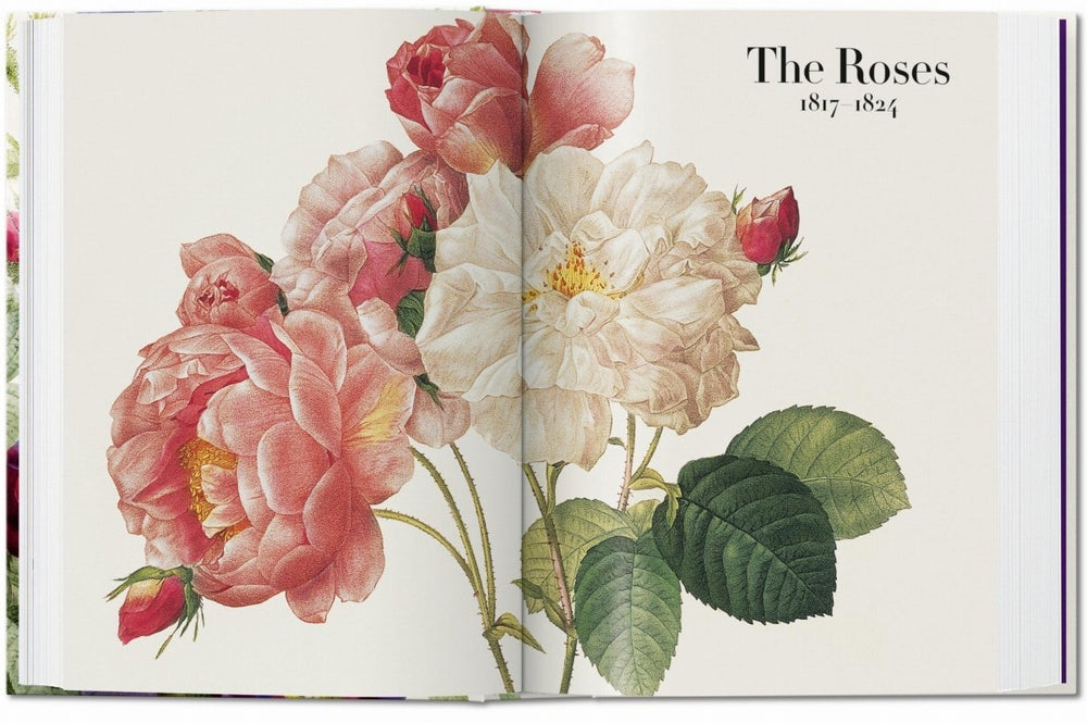 
                      
                        TASCHEN Redouté. The Book of Flowers. 40th Ed. (German, French, English)
                      
                    