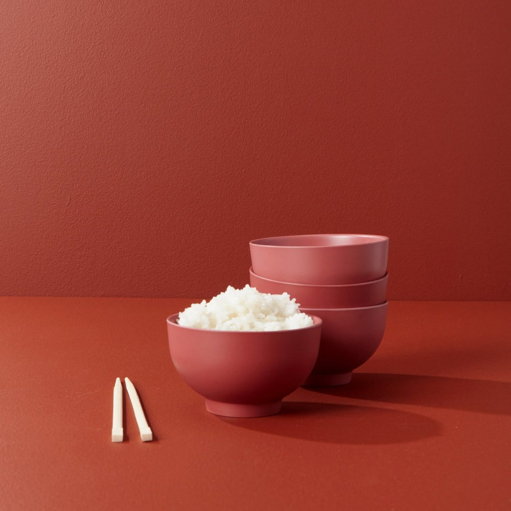 EKOBO Rice Bowl Set, Set of 4 - Spice - lily & onyx