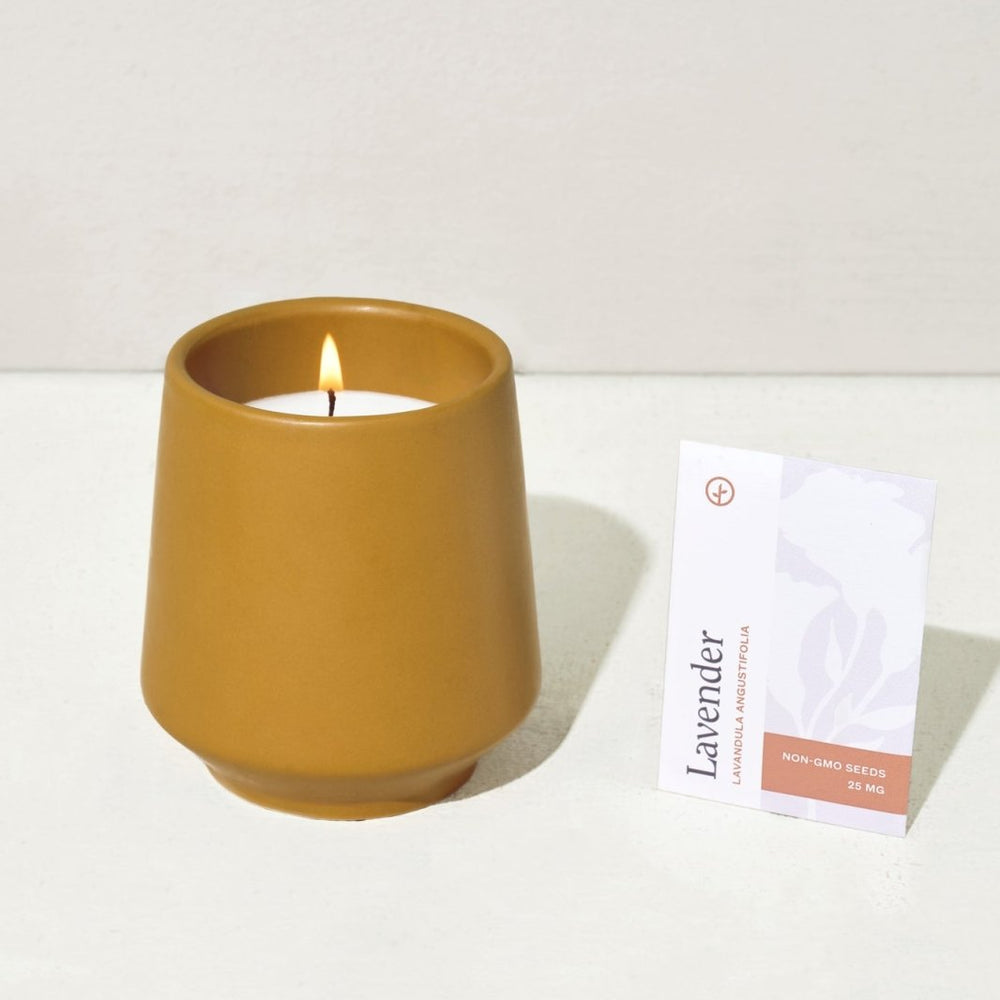 
                      
                        Modern Sprout Rooted Candles - lily & onyx
                      
                    