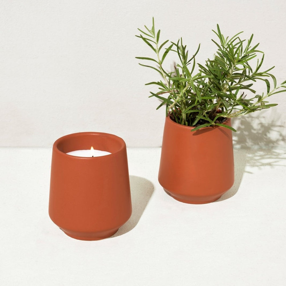 
                      
                        Modern Sprout Rooted Candles - lily & onyx
                      
                    