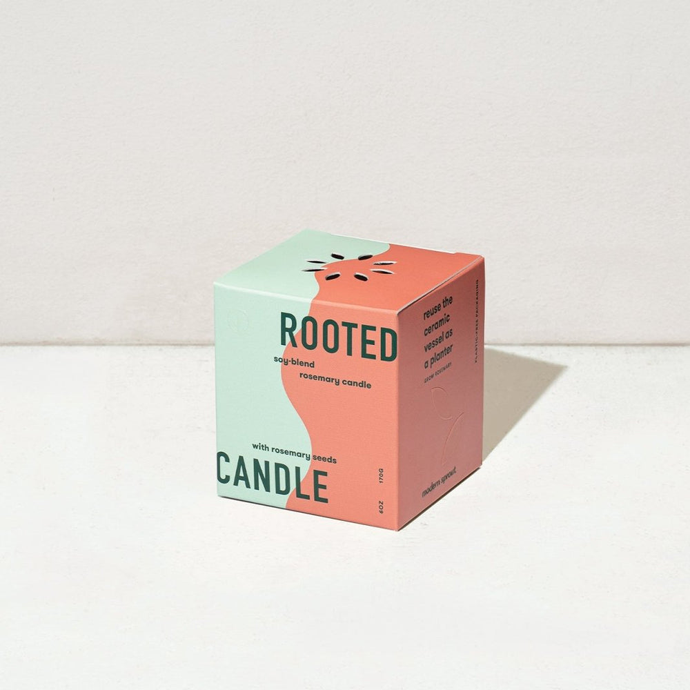 
                      
                        Modern Sprout Rooted Candles - lily & onyx
                      
                    