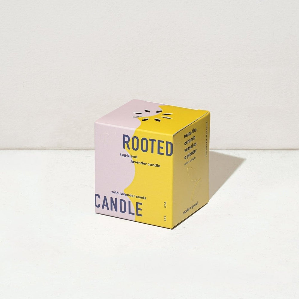 
                      
                        Modern Sprout Rooted Candles - lily & onyx
                      
                    