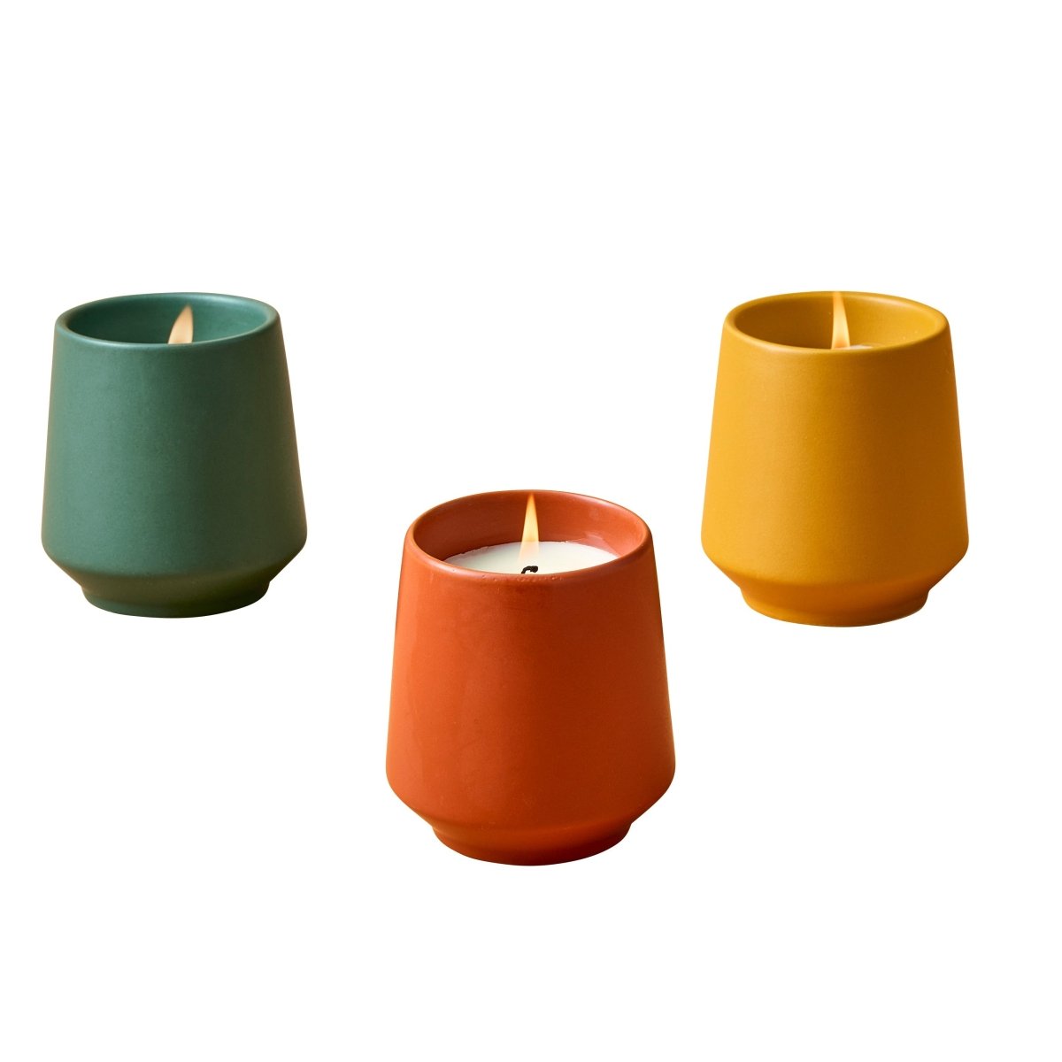 Modern Sprout Rooted Candles - lily & onyx