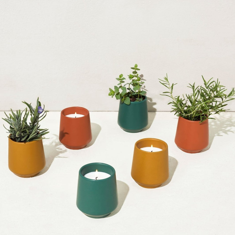 
                      
                        Modern Sprout Rooted Candles - lily & onyx
                      
                    