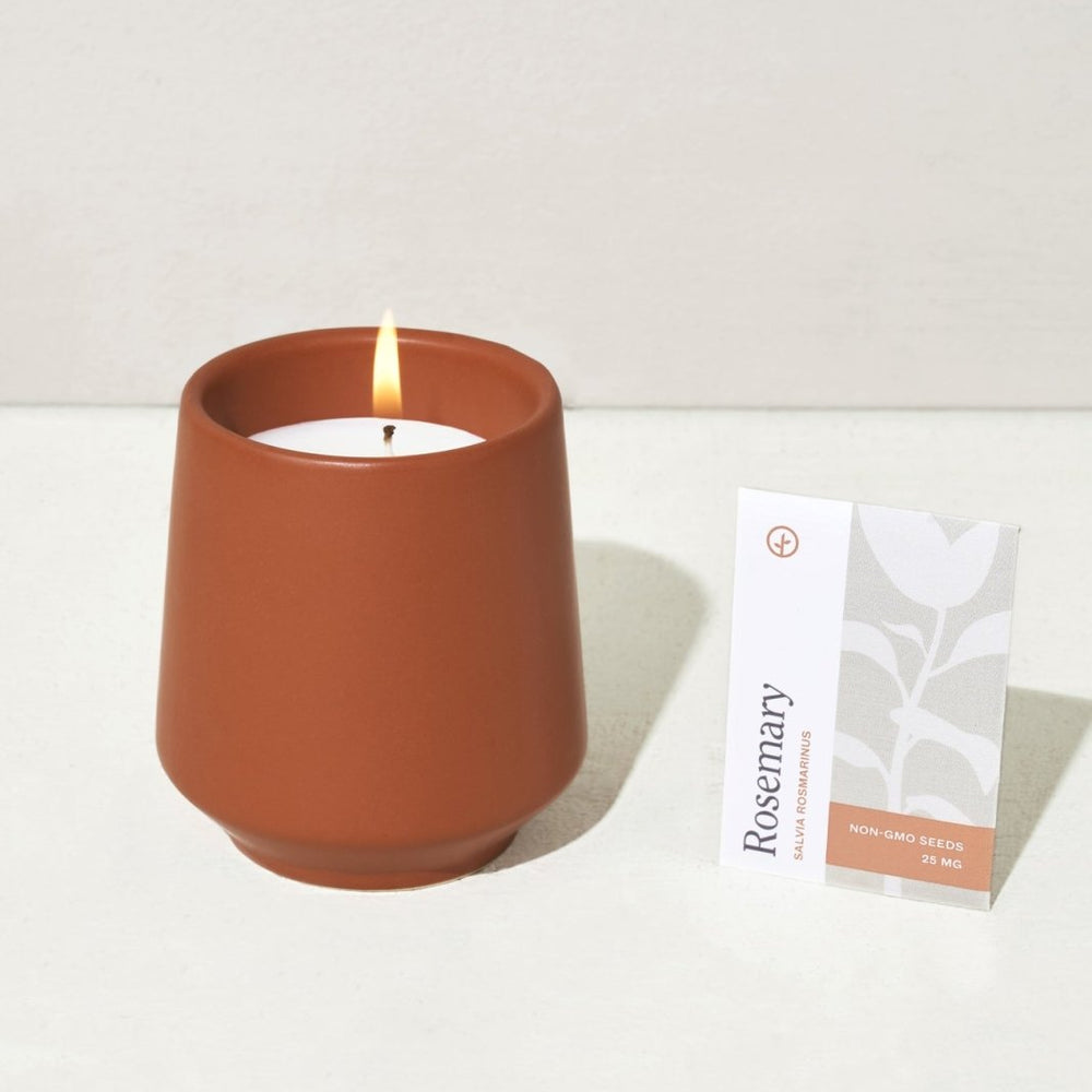 
                      
                        Modern Sprout Rooted Candles - lily & onyx
                      
                    