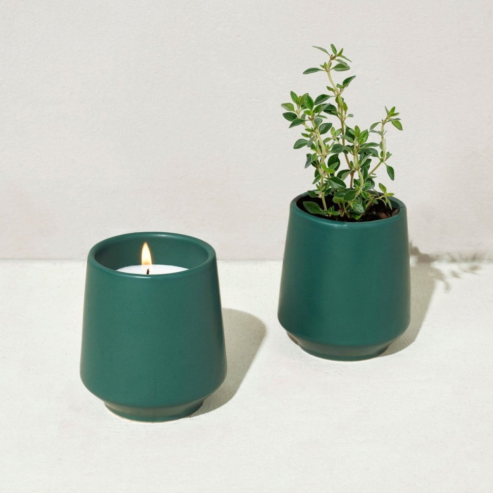 
                      
                        Modern Sprout Rooted Candles - lily & onyx
                      
                    