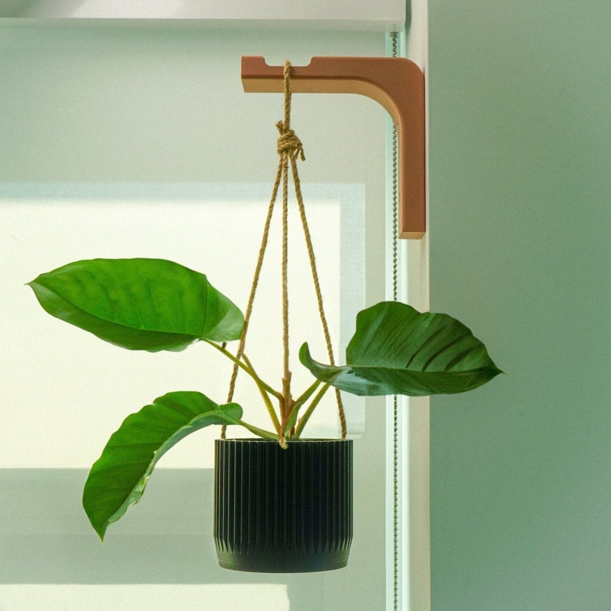 3d print hanging planter Minimal Modern Hanging Planter Wall Hook, Macrame Plant Hanger Hook, Eco-Friendly Indoor Plant Holder, Boho Plant Wall Cottagecore Decor Mustard