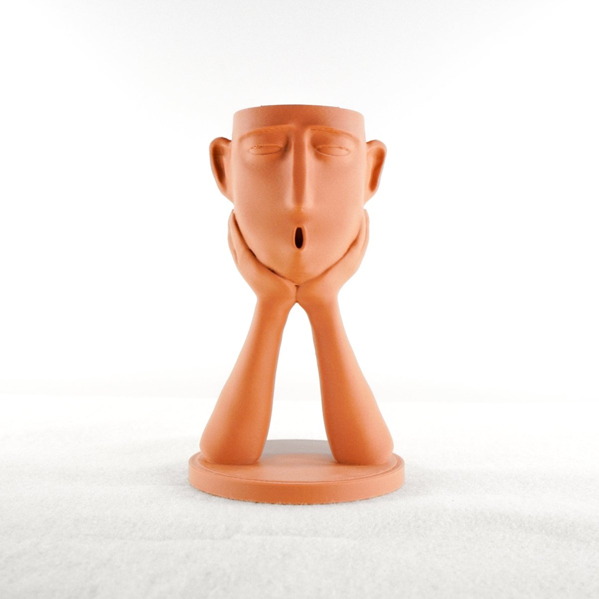 Rosebud HomeGoods Abstract Face Head Planter Pot - PLA Ceramic - Style Air Plant Holder