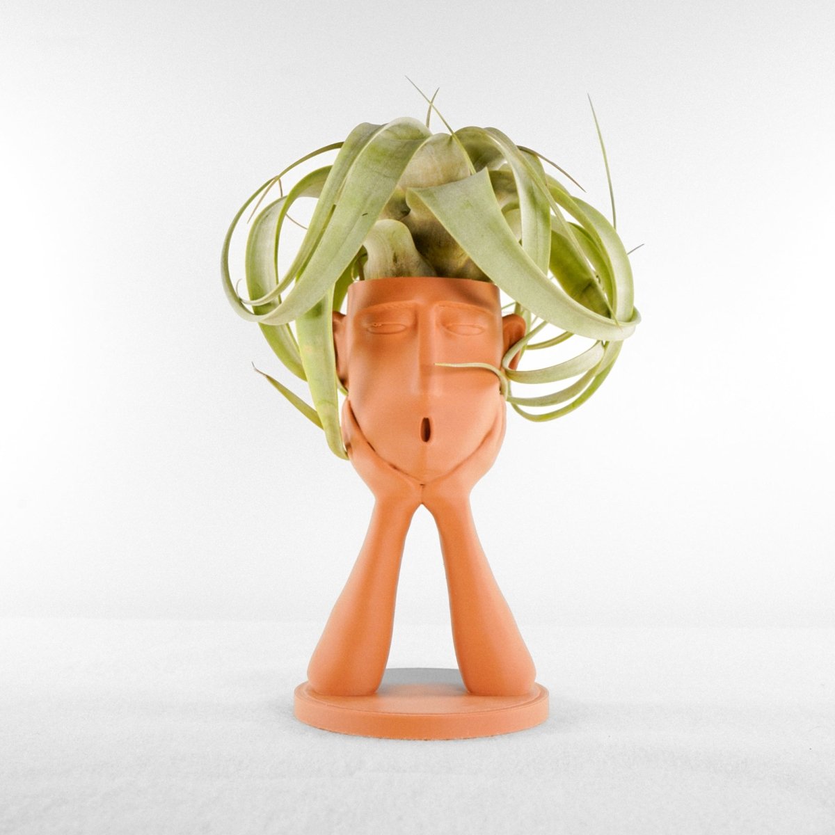 Rosebud HomeGoods Abstract Face Head Planter Pot - PLA Ceramic - Style Air Plant Holder