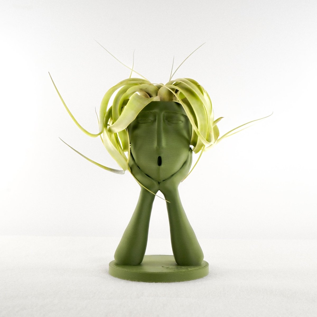 face pot plant holder 3D Printed Plant Pot and Air Plant Holder – Stylish, Durable, Eco-Friendly, Modern Design, Indoor & Outdoor Use, Multiple Sizes & Colors, Lightweight