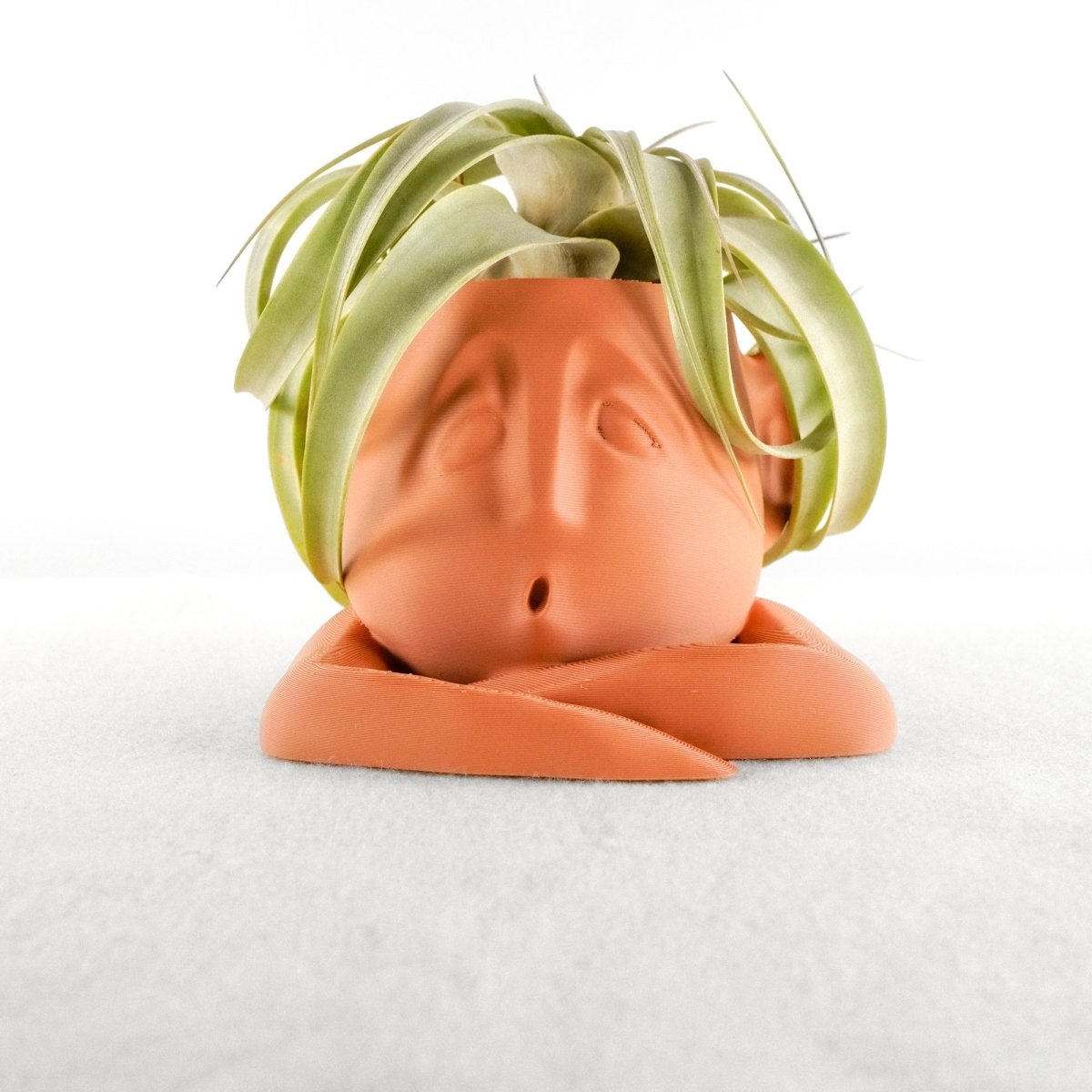 Rosebud HomeGoods Abstract Face Plant Pot - Shady Air Head Planter with Drainage