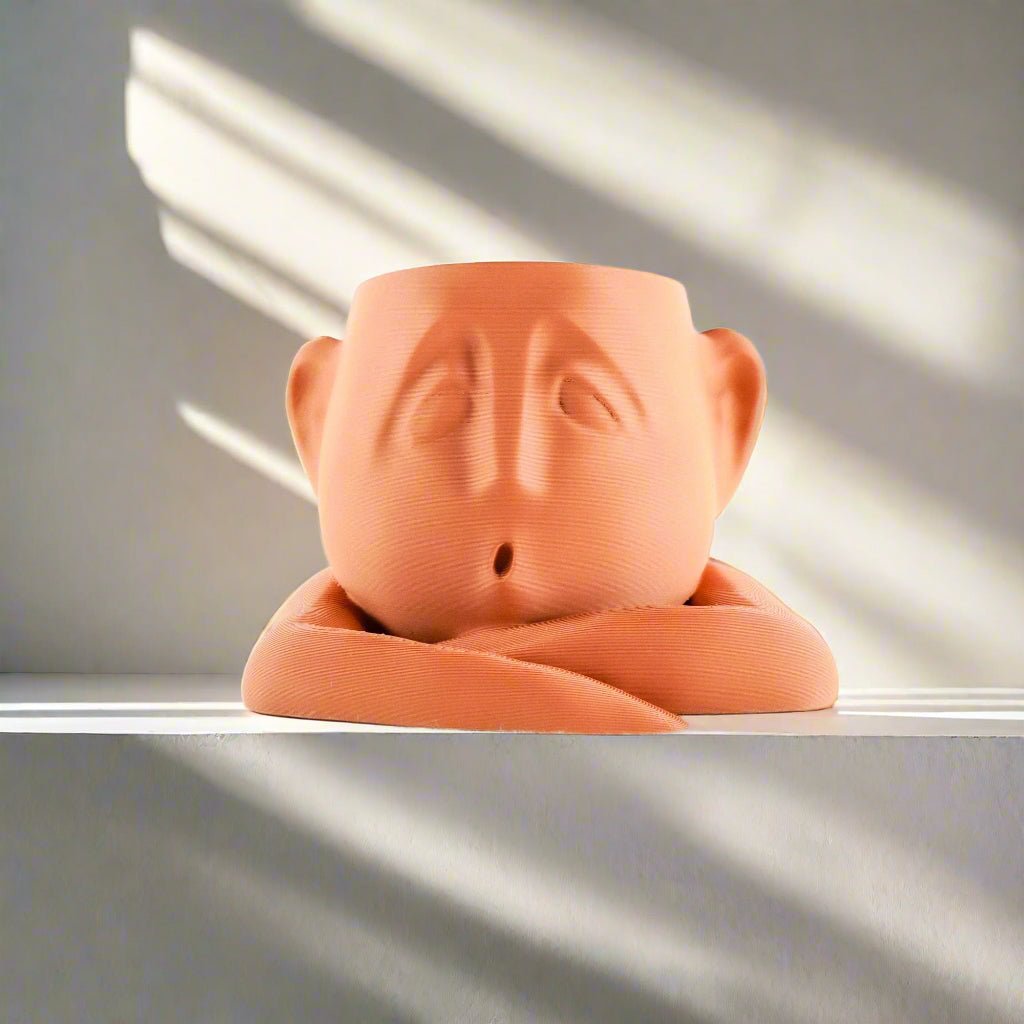 Rosebud HomeGoods Abstract Face Plant Pot - Shady Air Head Planter with Drainage