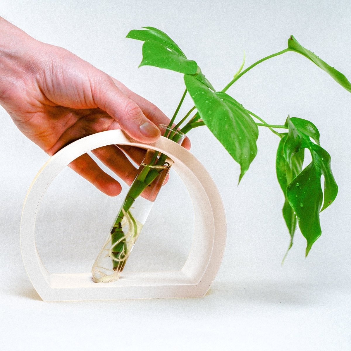 Rosebud HomeGoods Half - Moon Propagation Station - Nordic Wood Plant Stand with Glass Tube