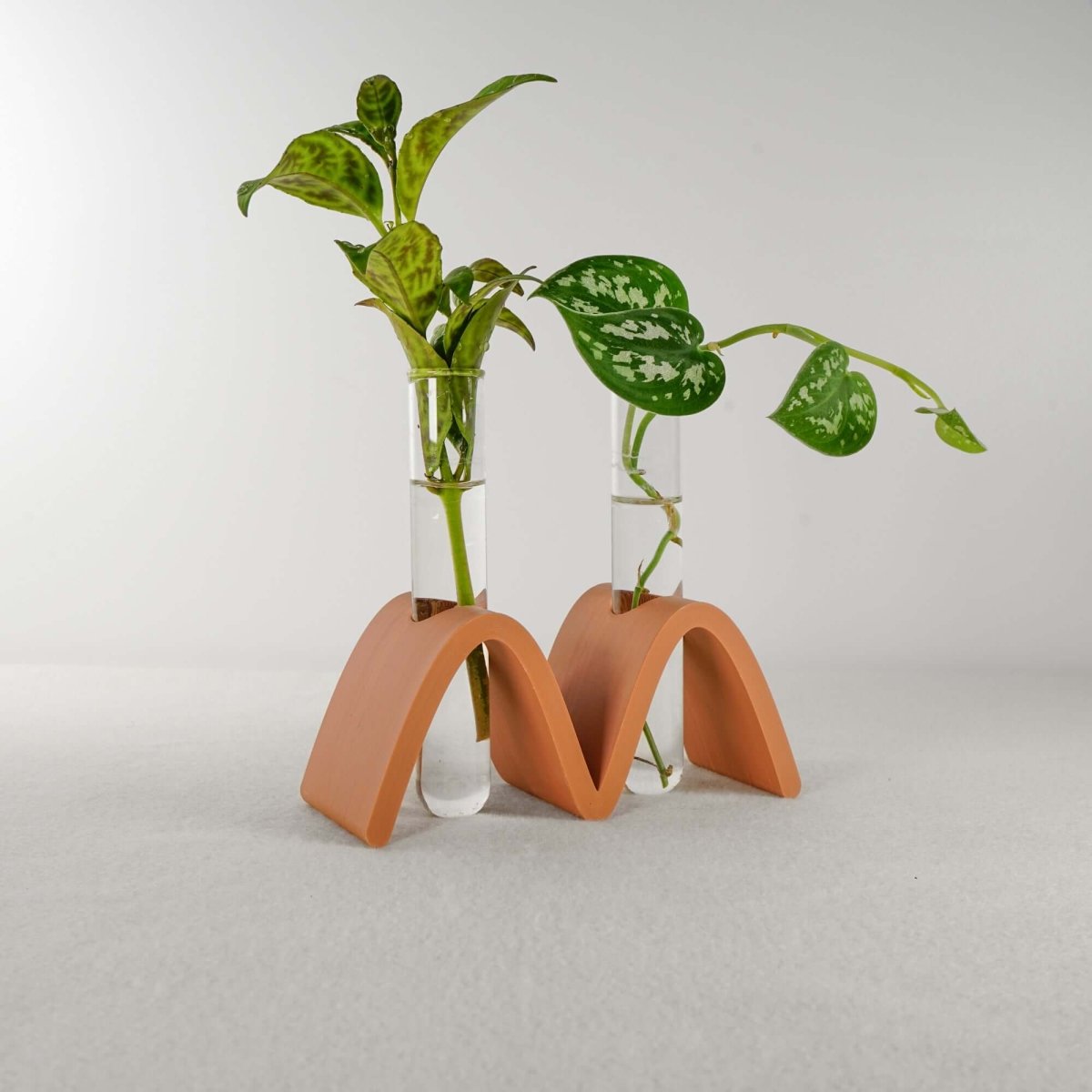 Rosebud HomeGoods Nordic Arch Glass Propagation Station - 3D Printed Plant Holder