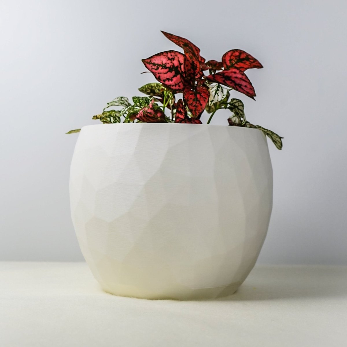Rosebud HomeGoods Voronoi 3D Printed Planter - Geometric PLA Plant Pot with Drainage