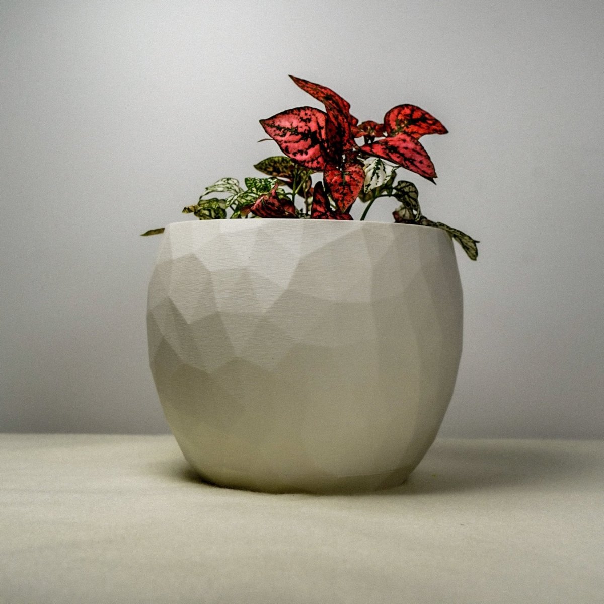 Rosebud HomeGoods Voronoi 3D Printed Planter - Geometric PLA Plant Pot with Drainage