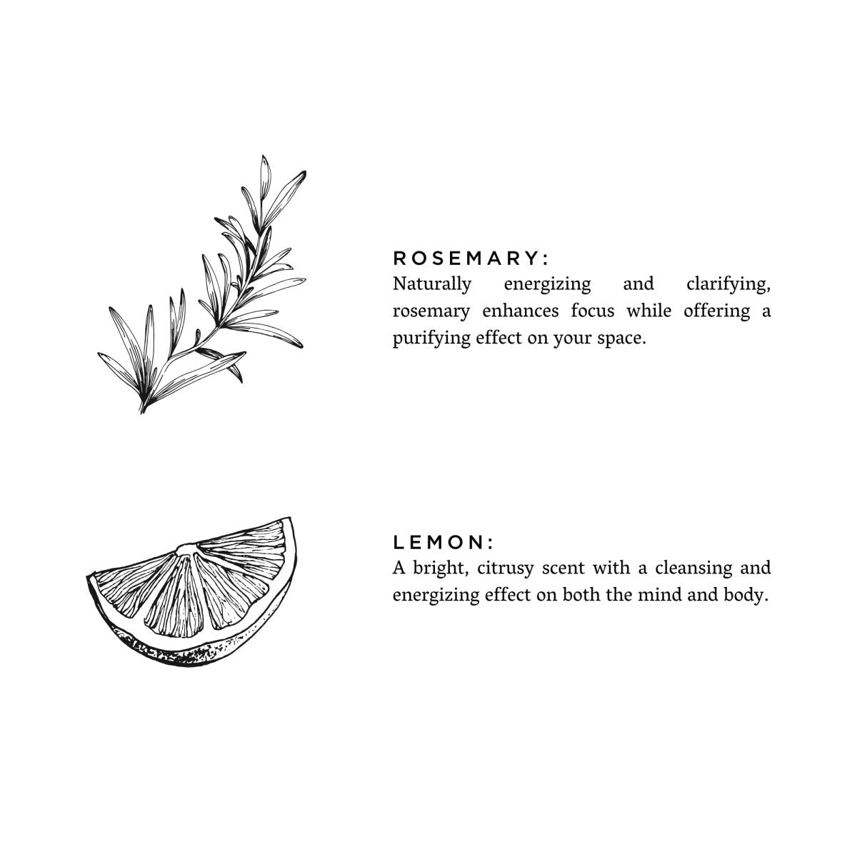 Slow North Rosemary + Lemon Frosted Candle, 8 oz - lily & onyx