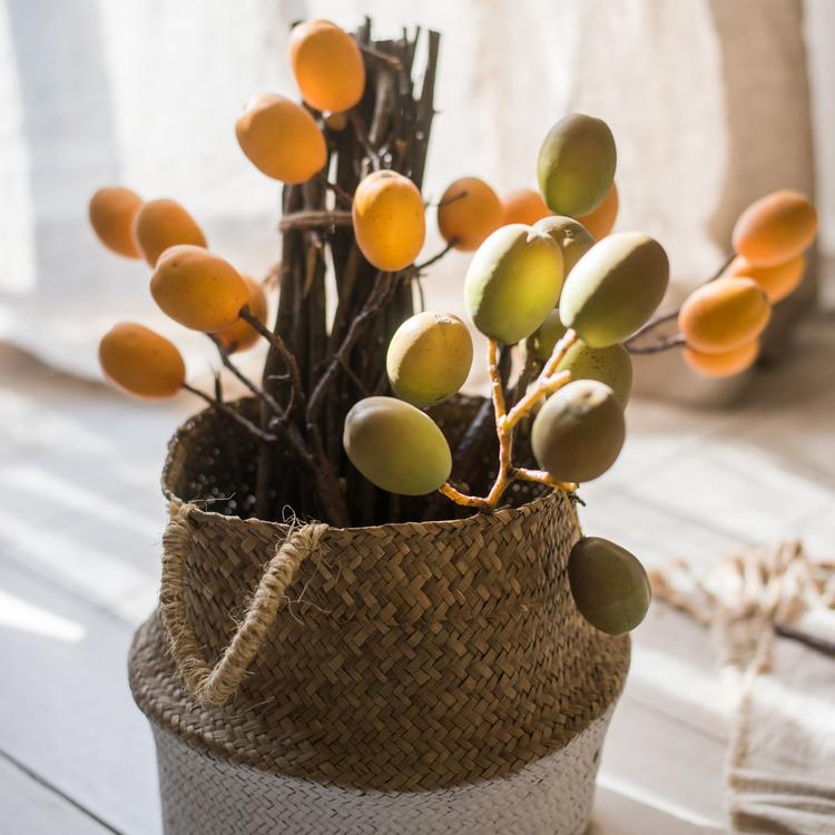 Rustic Reach 26" Artificial Pipa Fruit Stem - Latex Coated Loquat Branch