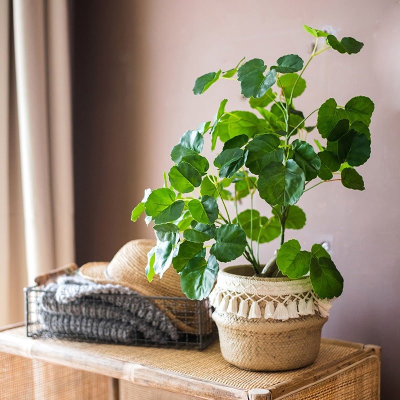 Rustic Reach Artificial Banyan Tree - Silk Real Touch Faux Plant Black Pot