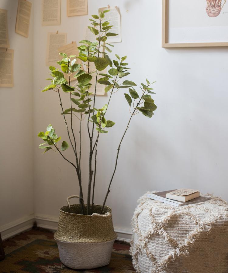 Rustic Reach Artificial Bauhinia Tree - Latex Coated Silk | 51" & 71" Sizes