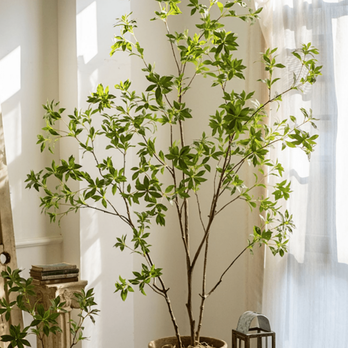 Rustic Reach Artificial Japanese Enkianthus Tree - Silk Real Touch Indoor Outdoor