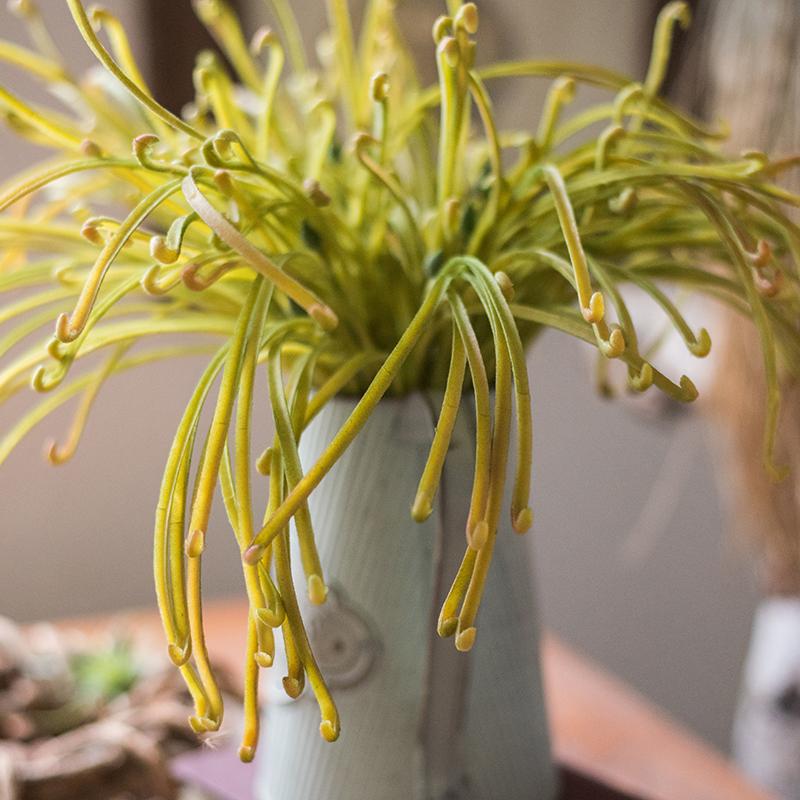 Rustic Reach Artificial Plant Green Sarracenia Stem 12" Tall