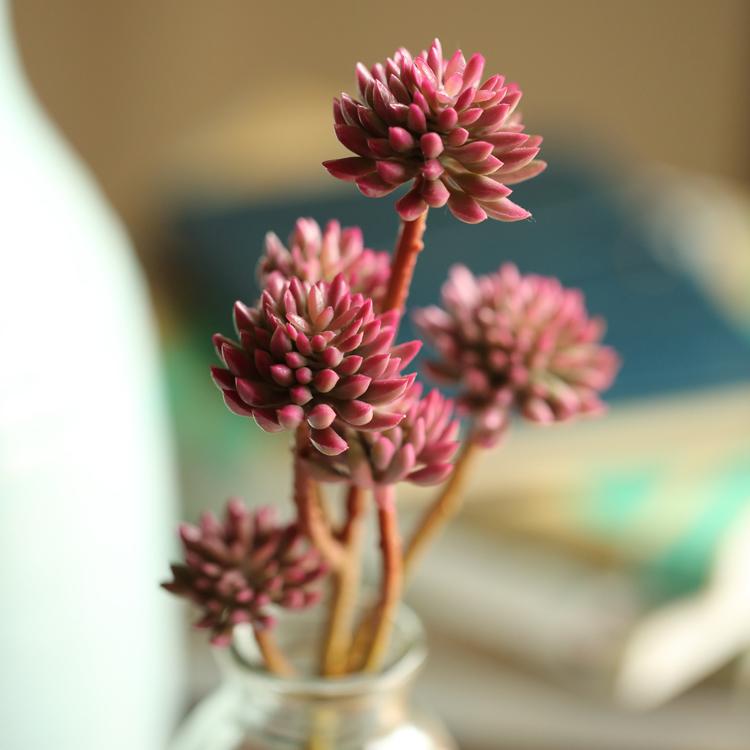 Rustic Reach Artificial Red Succulent Stem - Realistic Faux Plant Decor 13 Inch