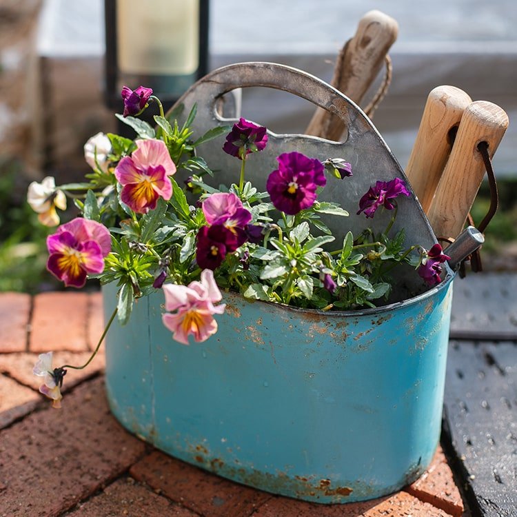 Rustic Reach Blue Metal Basket Tool Organizer Flower Garden