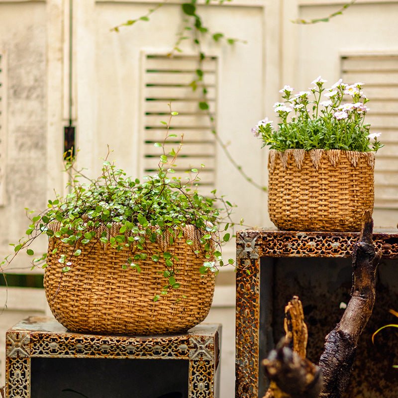 Rustic Reach Lady Straw Basket Cement Planter