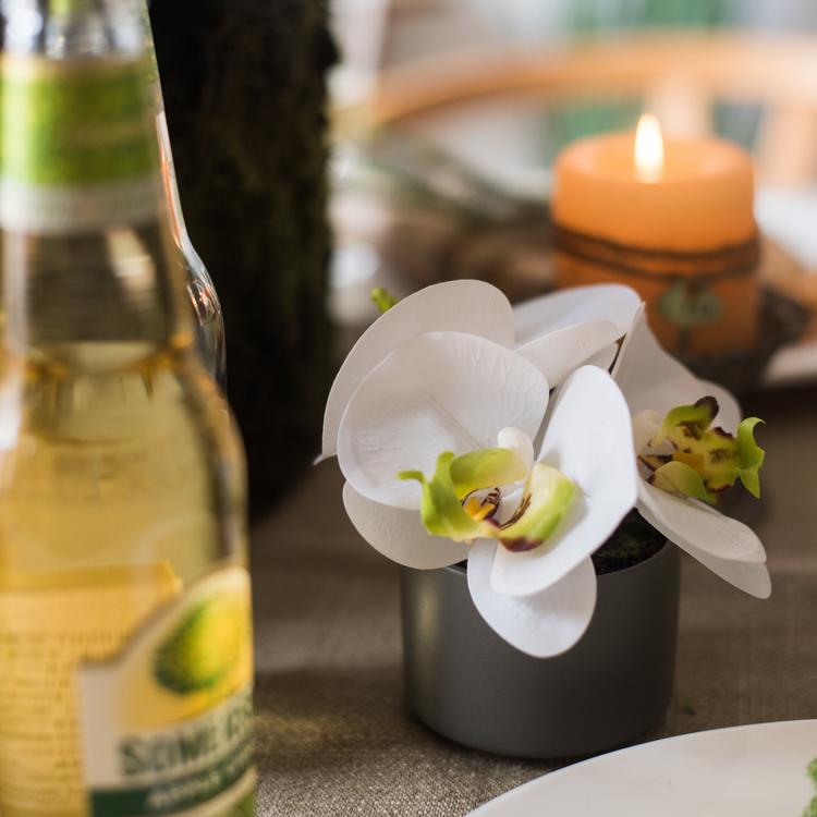 Rustic Reach Mini Potted White Orchid - Real Touch PEVA Ceramic Vase 5.1"