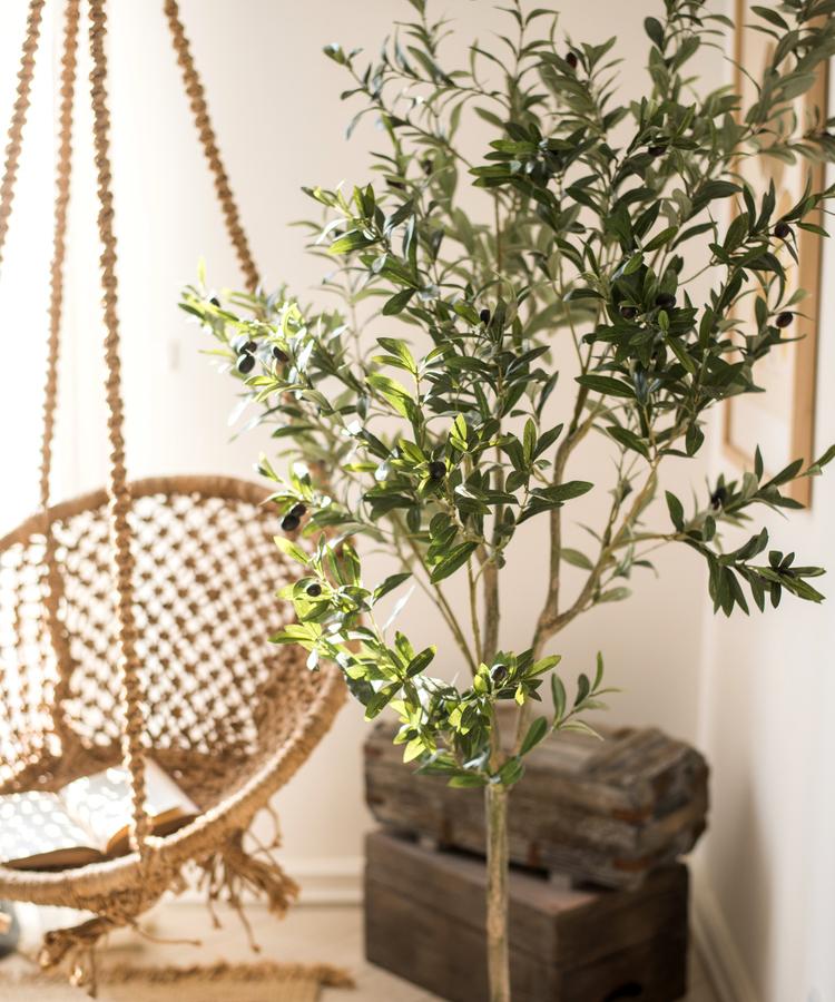 Rustic Reach Silk Olive Tree - Latex Coated Artificial Plant with Pot (4 Sizes)