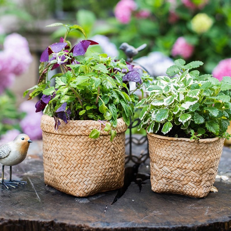 Rustic Reach Straw Basket Style Concrete Planter