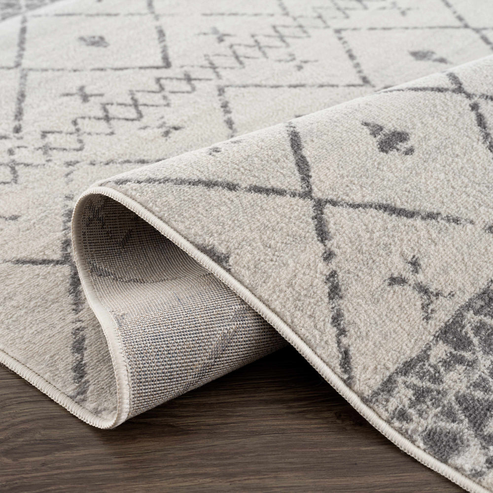 
                      
                        Newville Area Rug
                      
                    