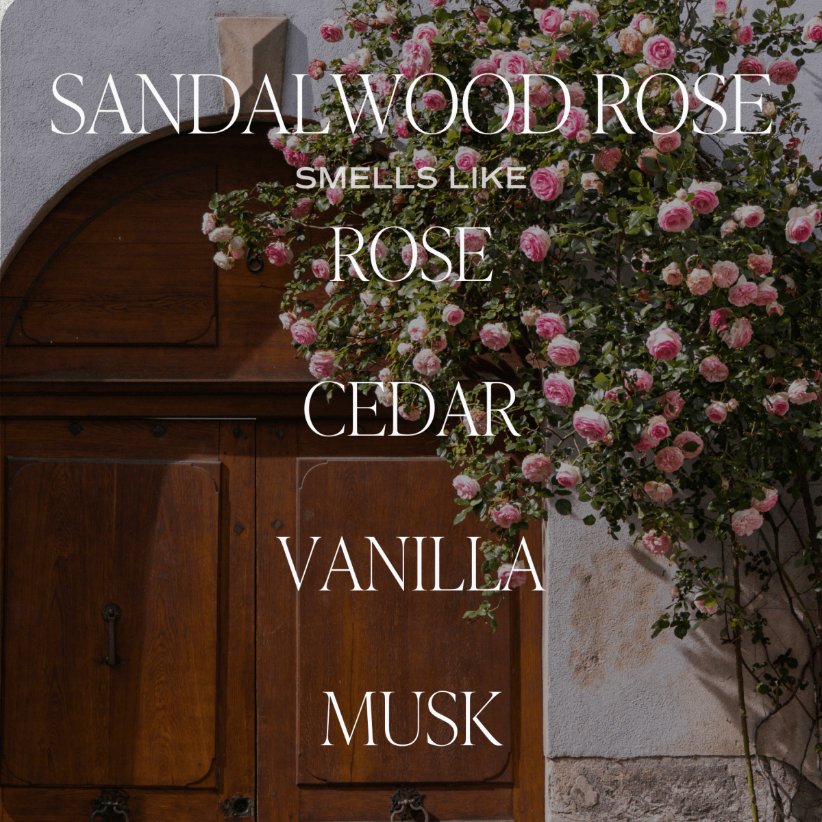 Sweet Water Decor Sandalwood Rose Soy Candle - Clear Jar - 9 oz - lily & onyx