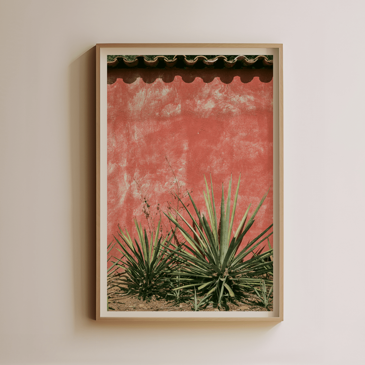 Sandgrain Studio Agave Against Red Wall Art Print - Southwestern Desert Wall Decor